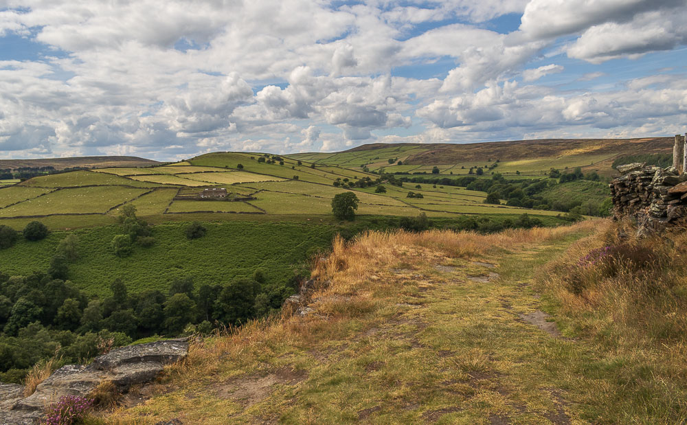 Abney Moor Abney Moor