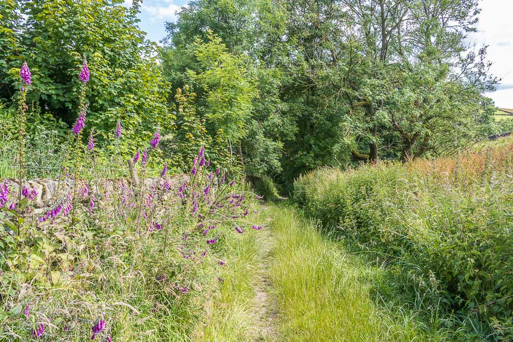 Abney Clough Abney Clough