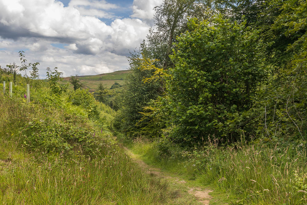 Abney Clough Abney Clough