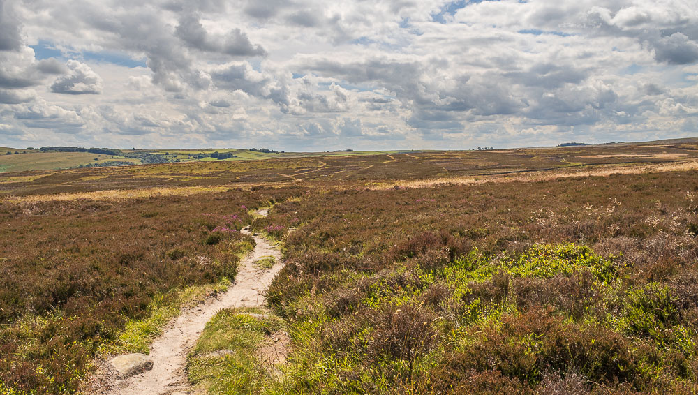 Offerton Moor Offerton Moor