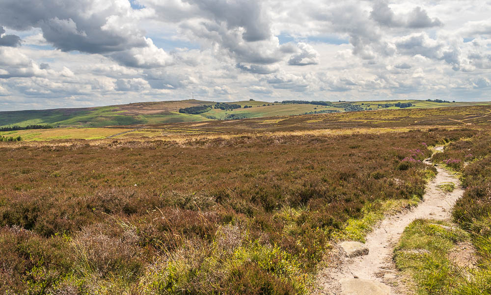 Offerton Moor Offerton Moor
