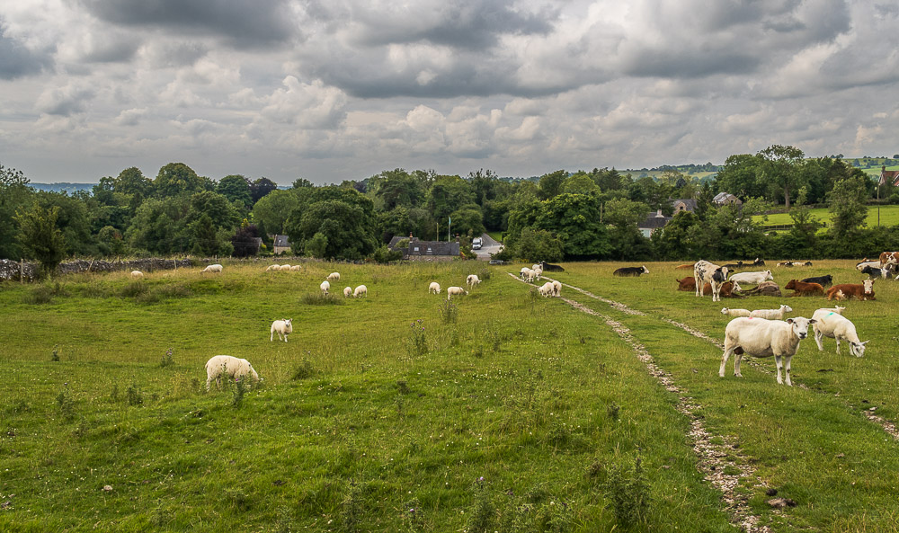 Thorpe Thorpe
