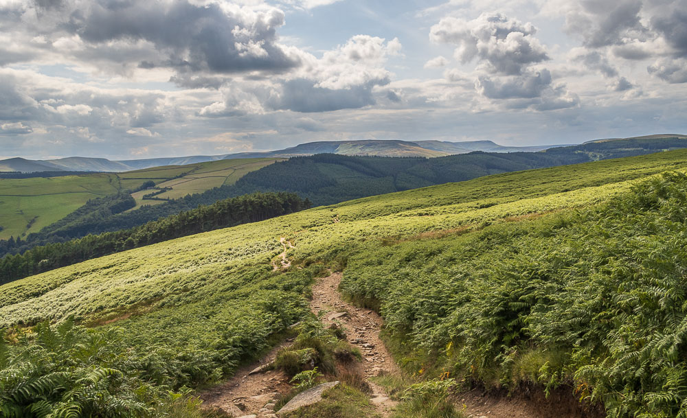 Rushup Edge