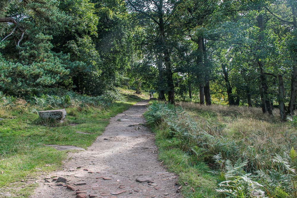 Longshaw